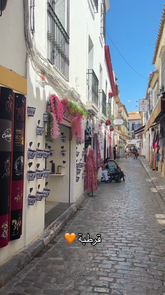 Post 2 by Aya on TikTok (video)