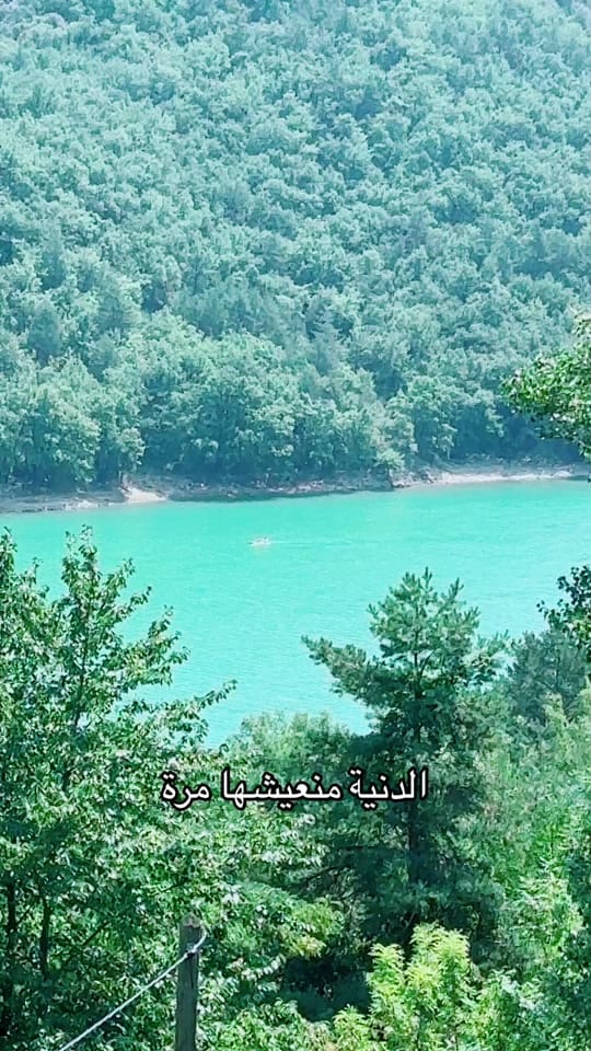 Post 1 by Aya on TikTok (video)