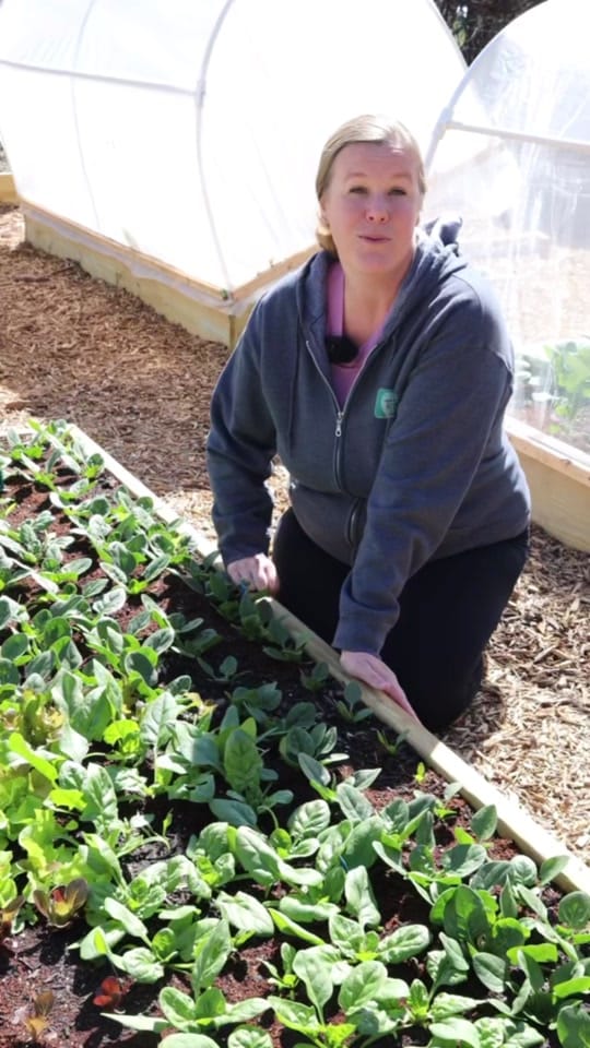 Post 8 by From Seed to Spoon on TikTok (video)