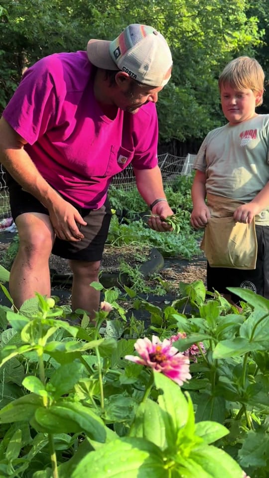Post 3 by From Seed to Spoon on TikTok (video)