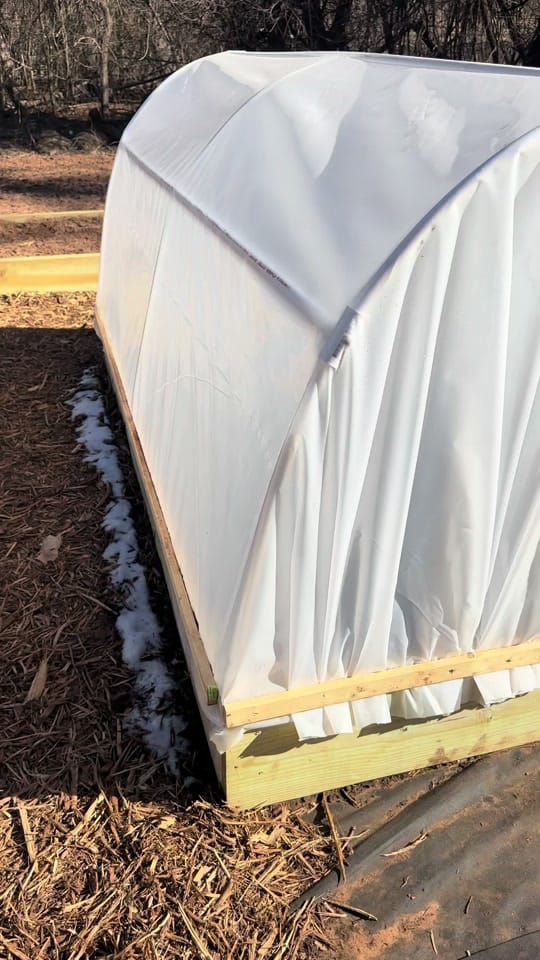 Post 10 by From Seed to Spoon on TikTok (video)