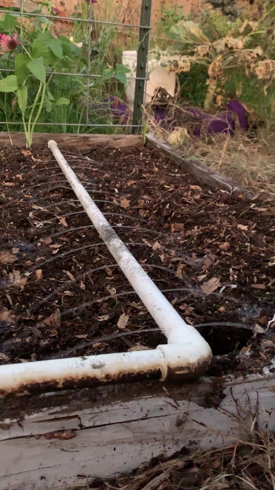Post 9 by From Seed to Spoon on TikTok (video)