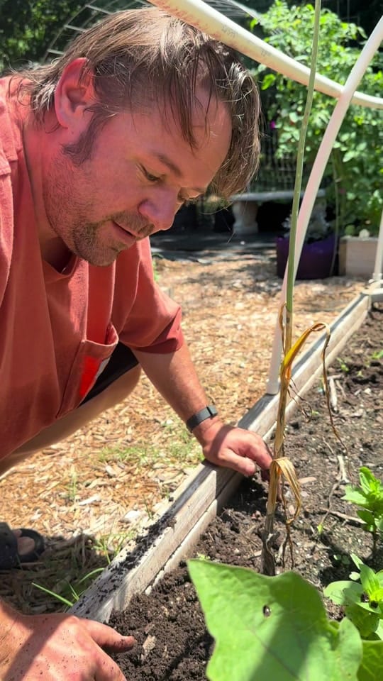 Post 2 by From Seed to Spoon on TikTok (video)