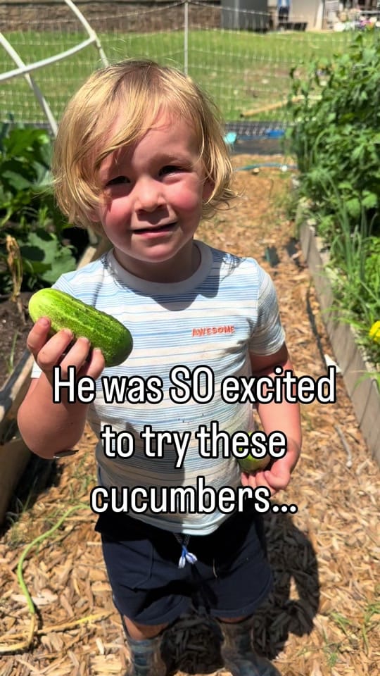 Post 4 by From Seed to Spoon on TikTok (video)