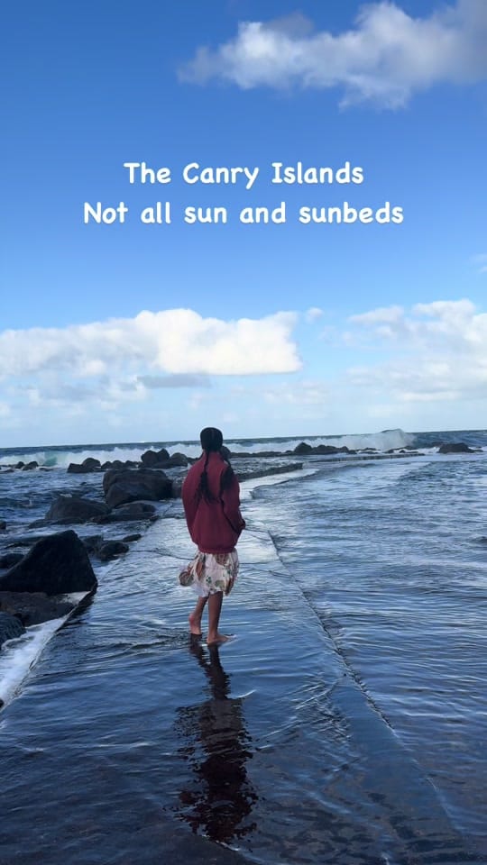 Post 8 by whereshallwegonow on TikTok (video)