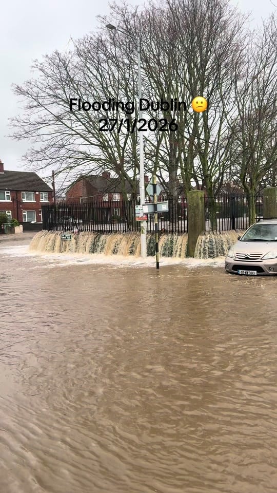 Post 2 by whereshallwegonow on TikTok (video)