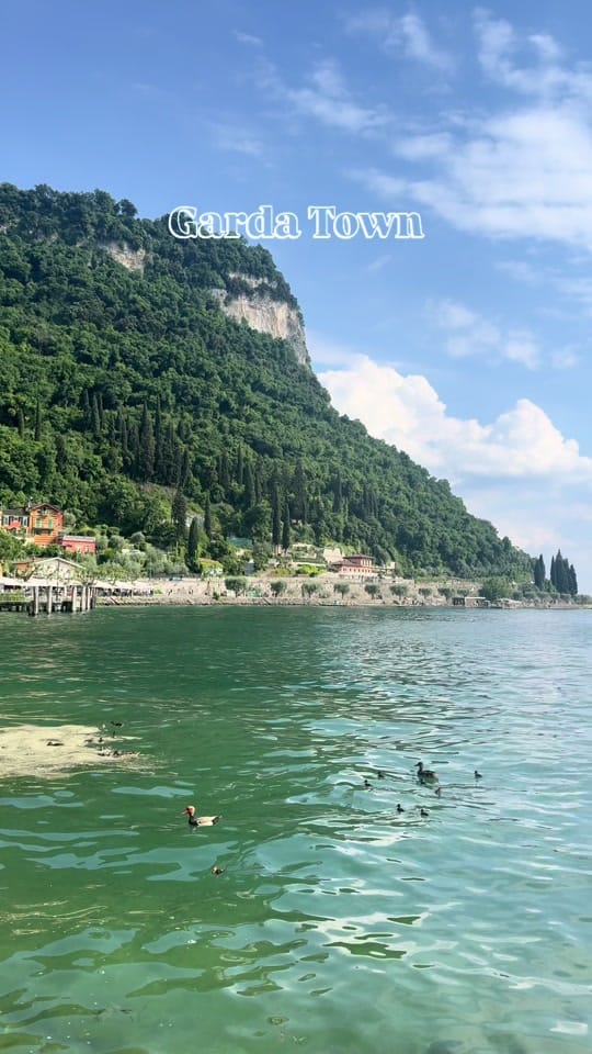 Post 4 by whereshallwegonow on TikTok (video)