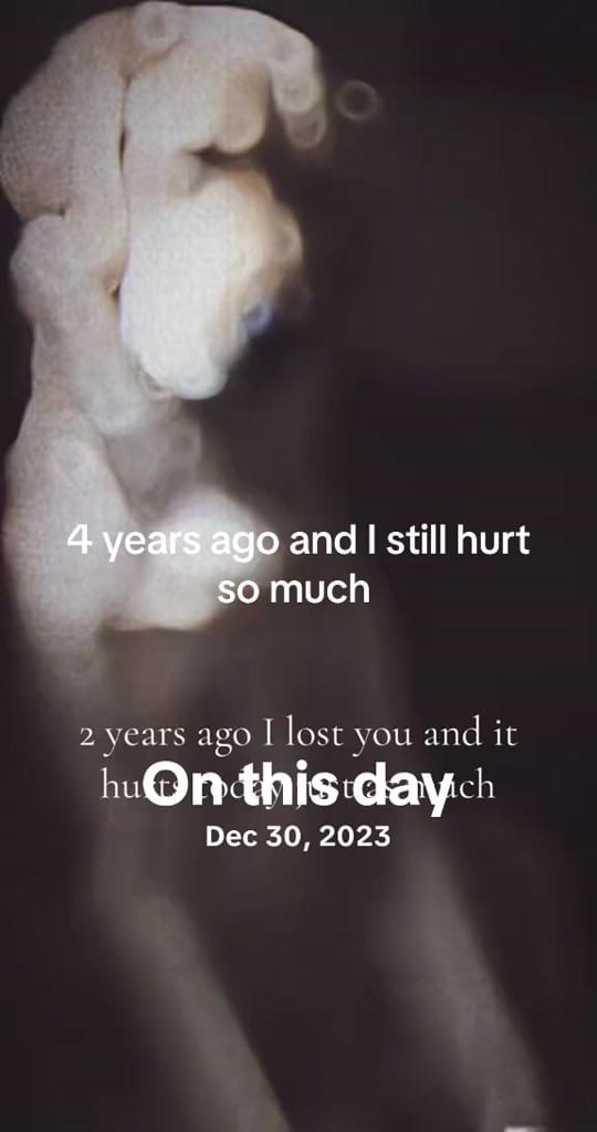 Post 1 by A Goldens Love on TikTok (video)