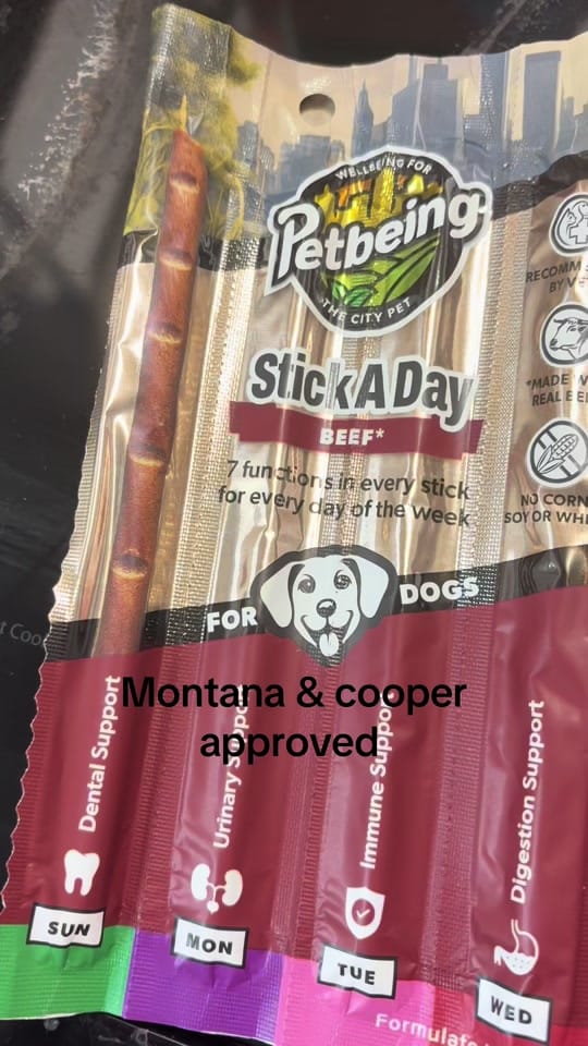 Post 5 by A Goldens Love on TikTok (video)