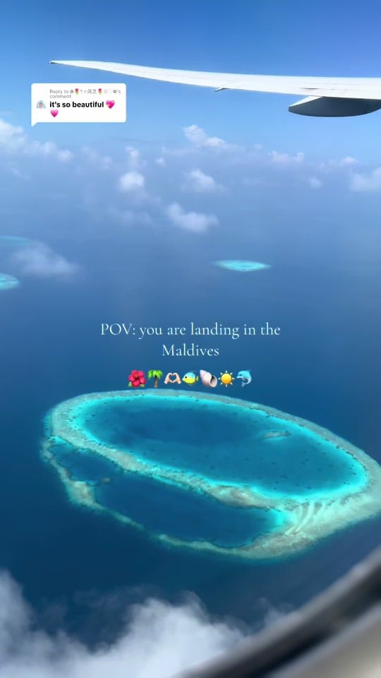 Post 6 by travelavo 🌺🌴 on TikTok (video)