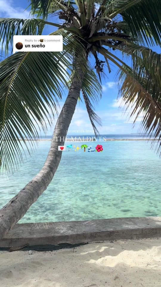 Post 8 by travelavo 🌺🌴 on TikTok (video)
