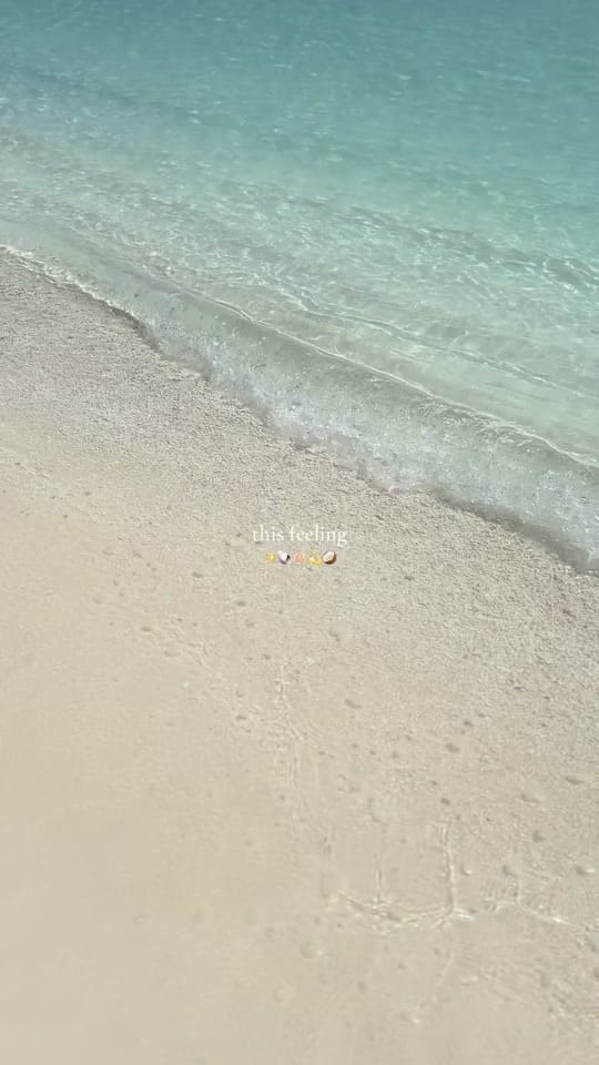Post 1 by travelavo 🌺🌴 on TikTok (video)