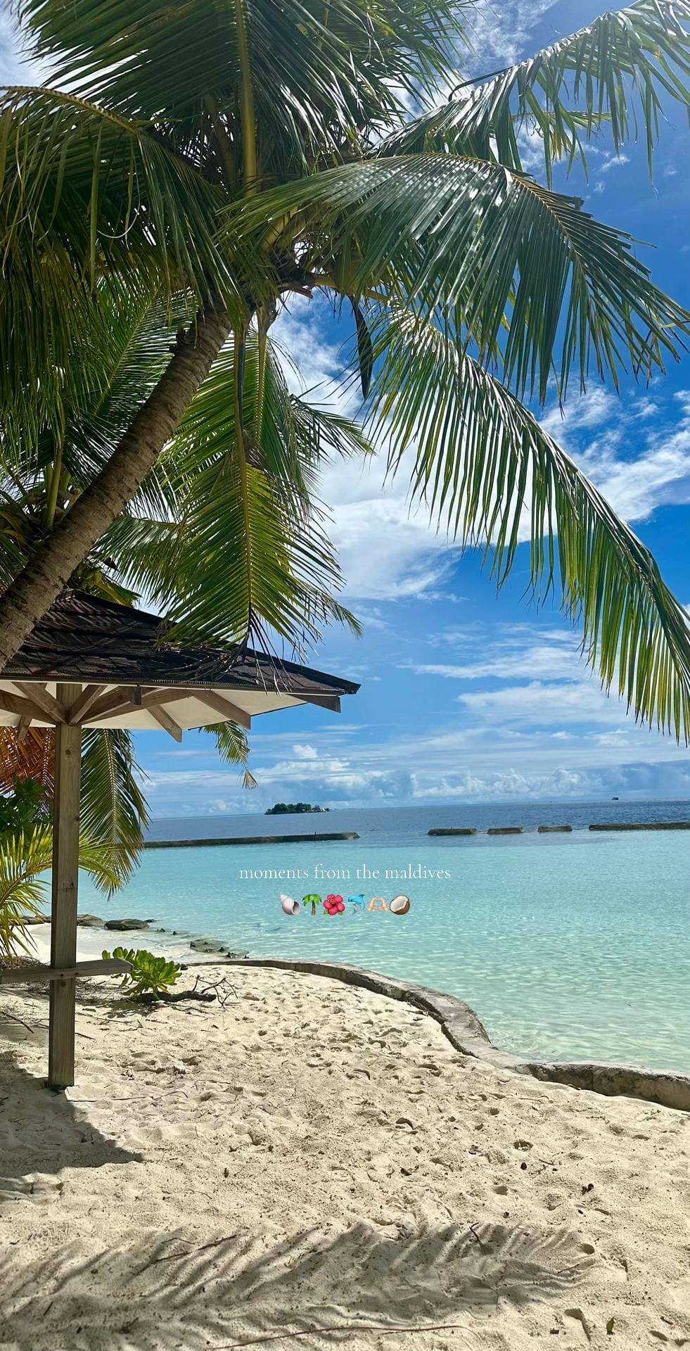 Post 9 by travelavo 🌺🌴 on TikTok (video)