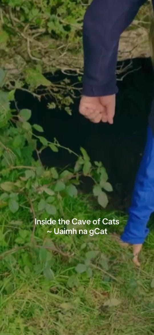 Post 3 by Ireland’s Tracks and Trails on TikTok (video)