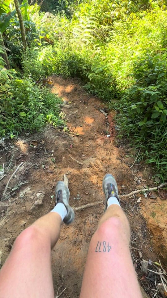 Post 5 by henrysheff on TikTok (video)