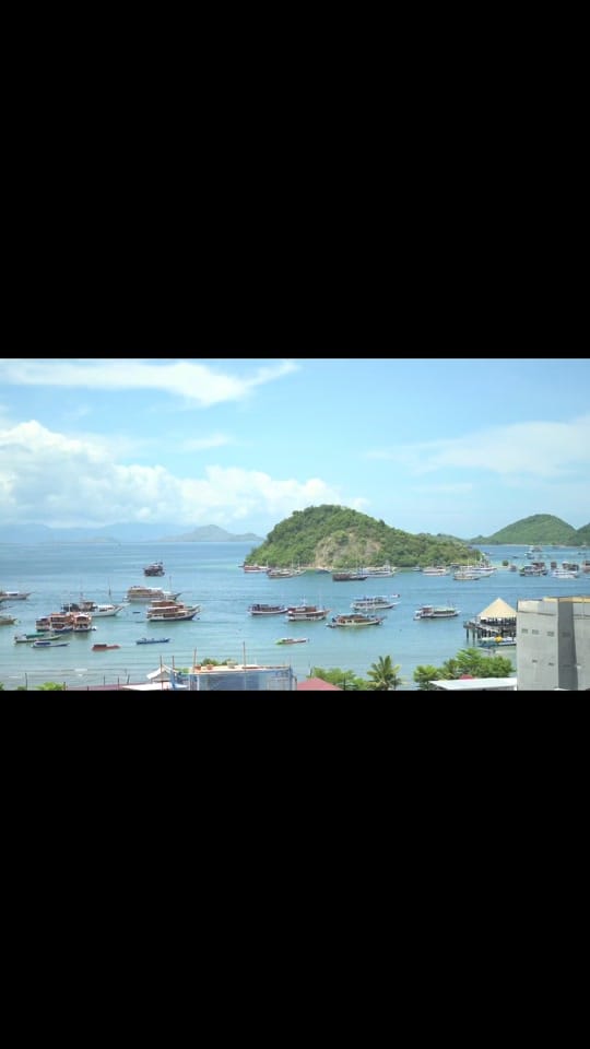 Post 8 by henrysheff on TikTok (video)