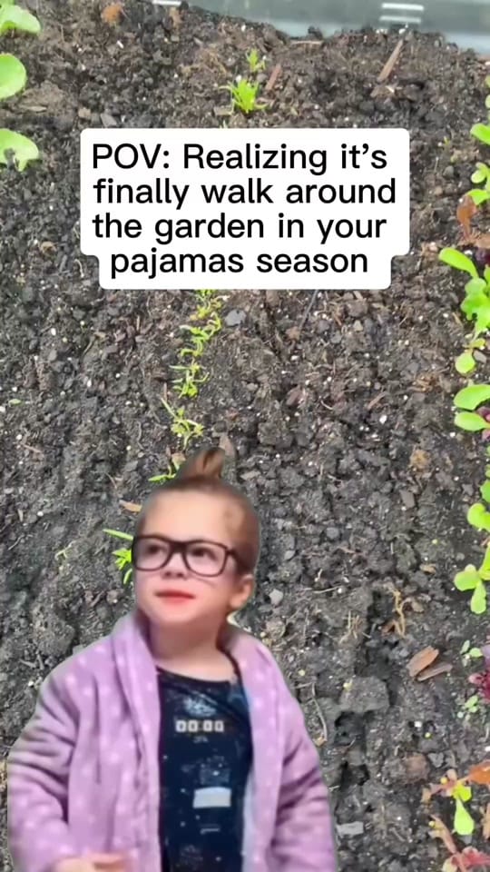 Post 5 by Gardening_With_Deea on TikTok (video)