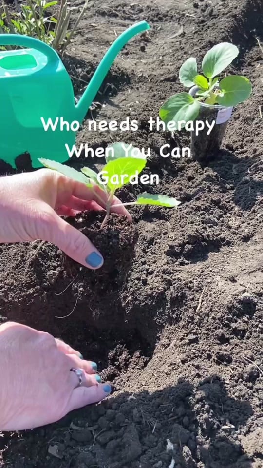 Post 10 by Gardening_With_Deea on TikTok (video)
