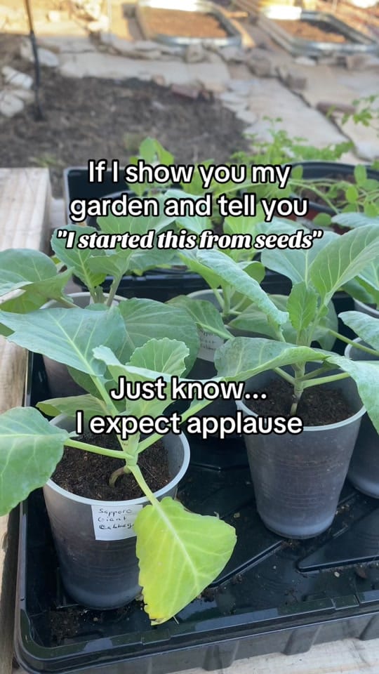 Post 9 by Gardening_With_Deea on TikTok (video)