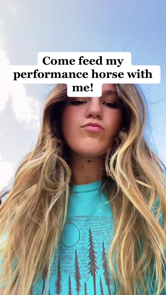 Post 6 by aspenjohnae on TikTok (video)