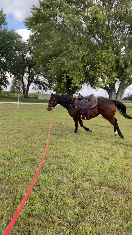 Post 5 by aspenjohnae on TikTok (video)