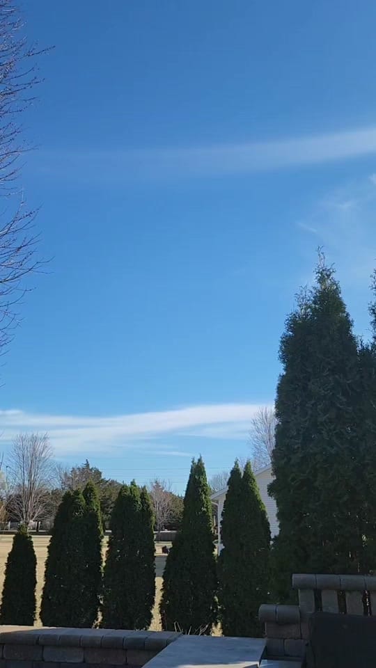 Post 6 by Rachel on TikTok (video)