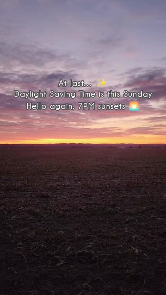 Post 3 by Rachel on TikTok (video)