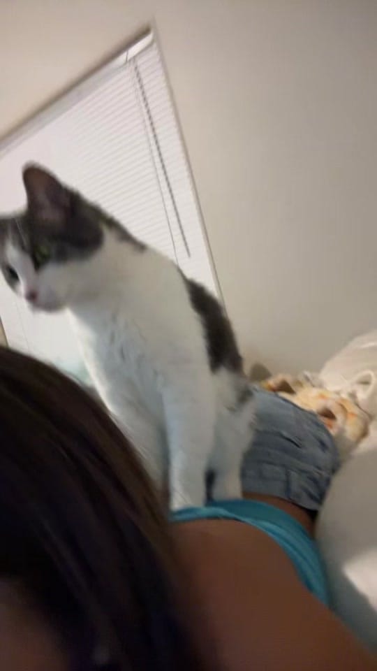Post 5 by CoconutDreams | Angel 👼🏽 on TikTok (video)