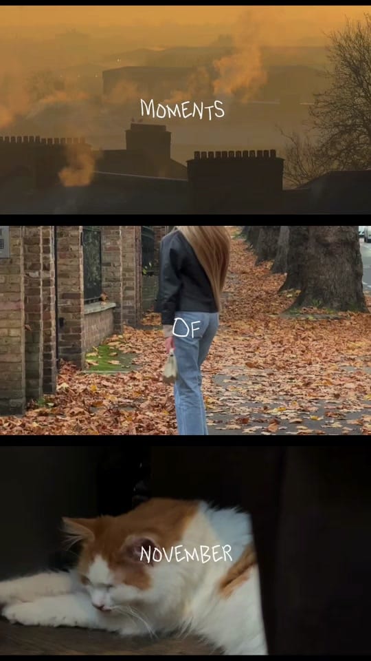Post 1 by Your favourite Londoner on TikTok (video)