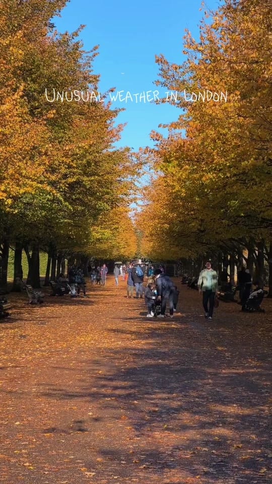 Post 8 by Your favourite Londoner on TikTok (video)