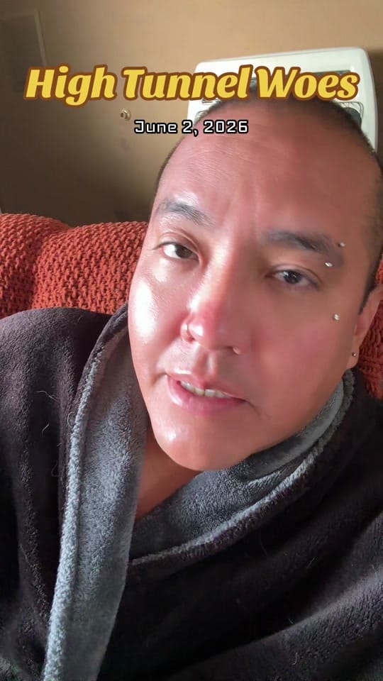 Post 10 by Joshua Toddy on TikTok (video)