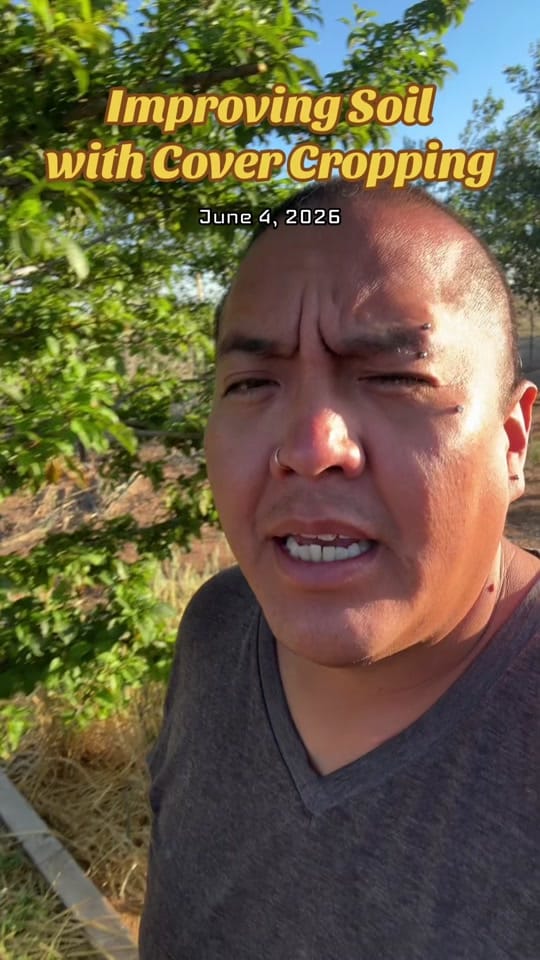 Post 6 by Joshua Toddy on TikTok (video)