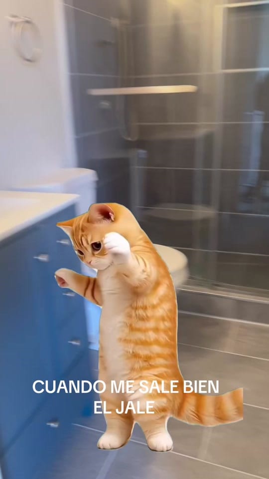 Post 5 by Javier Lopez on TikTok (video)