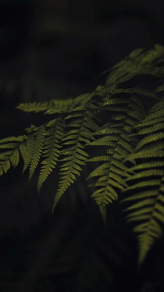 Post 3 by Billyclicks on TikTok (video)