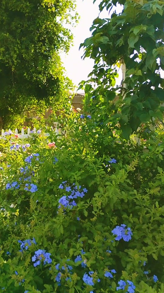 Post 1 by Katie's Homemade Life on TikTok (video)
