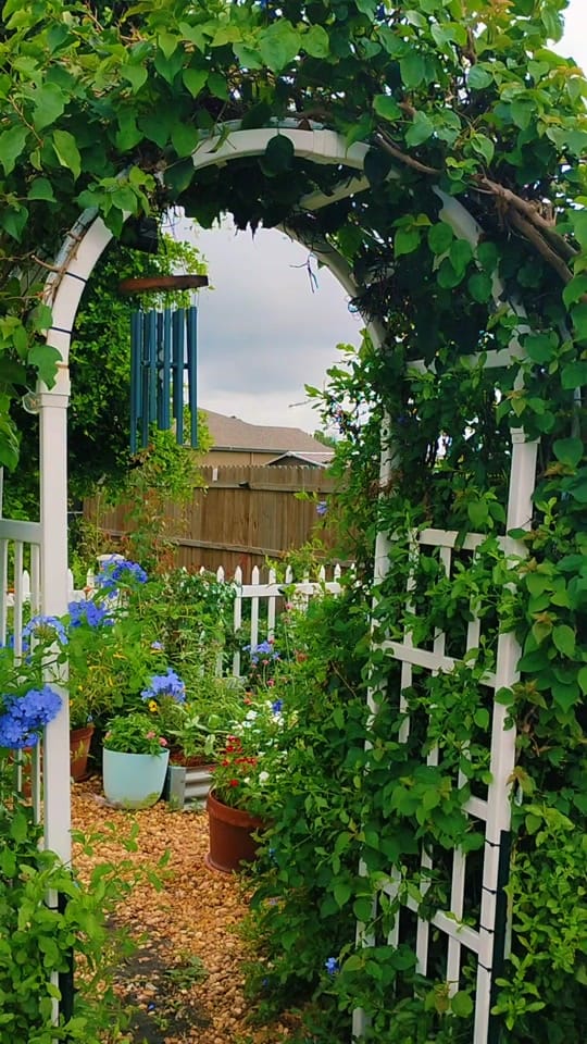 Post 4 by Katie's Homemade Life on TikTok (video)