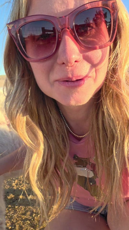 Post 3 by Michelle Hunter LaTowsky 💎 🐎 on TikTok (video)
