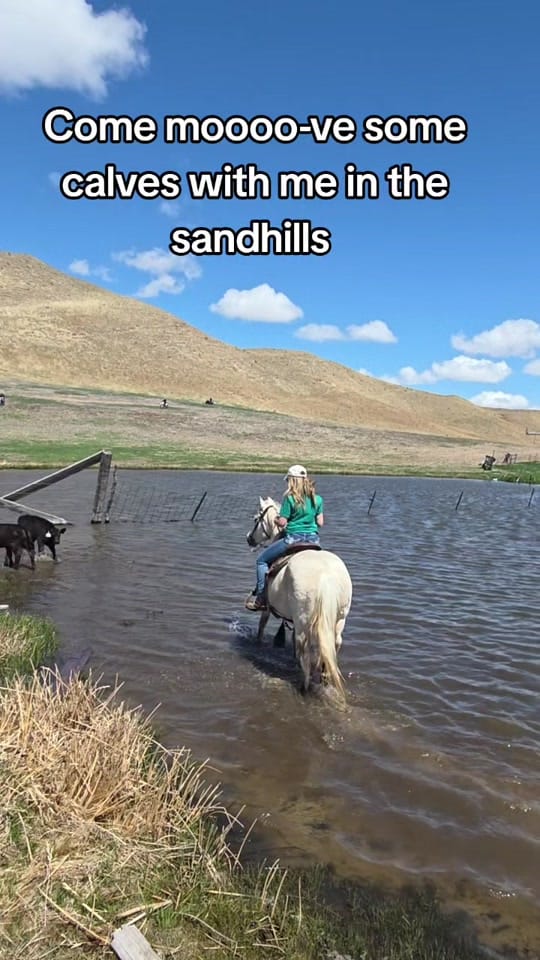 Post 10 by Michelle Hunter LaTowsky 💎 🐎 on TikTok (video)