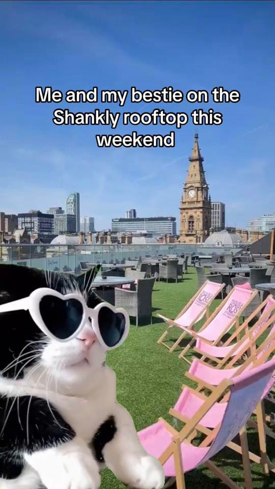 Post 6 by SHANKLY HOTEL on TikTok (video)