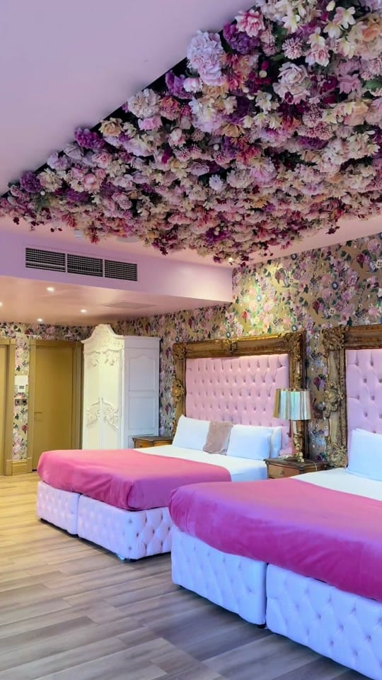 Post 10 by SHANKLY HOTEL on TikTok (video)
