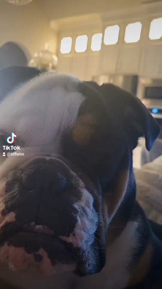 Post 5 by Tiff Wim on TikTok (video)