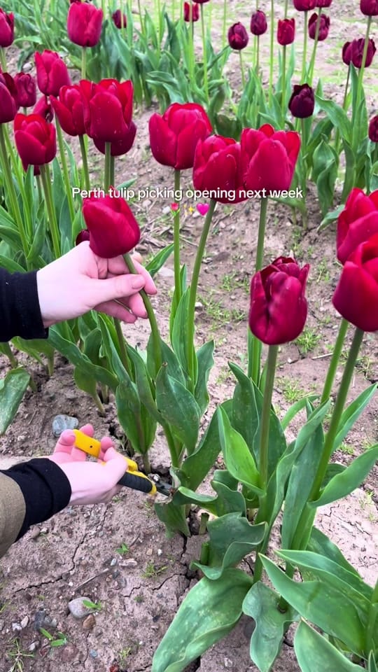 Post 8 by Sally | Scotland Travel & Eats on TikTok (video)
