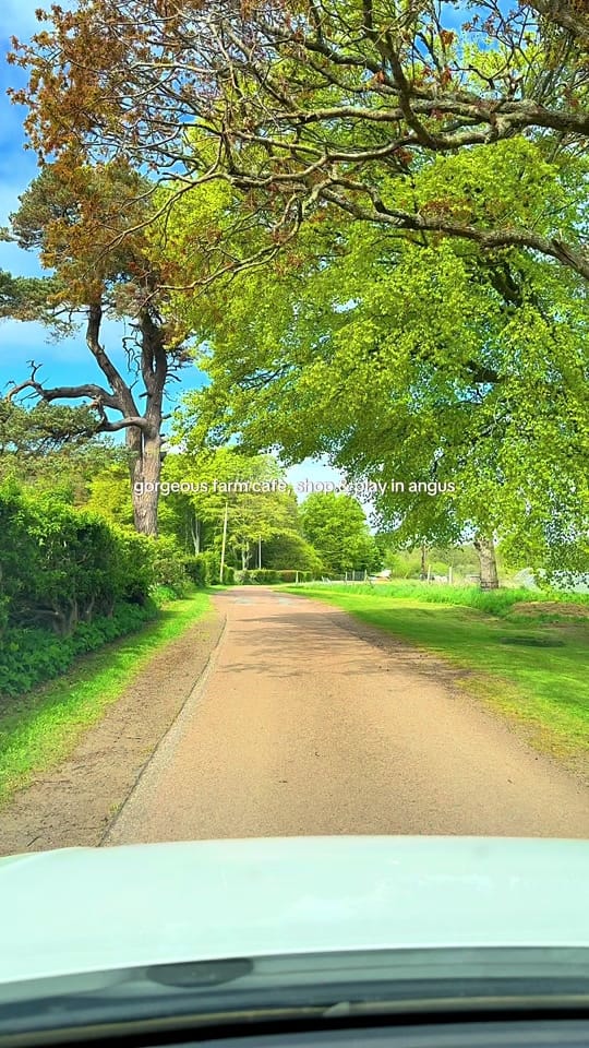Post 5 by Sally | Scotland Travel & Eats on TikTok (video)