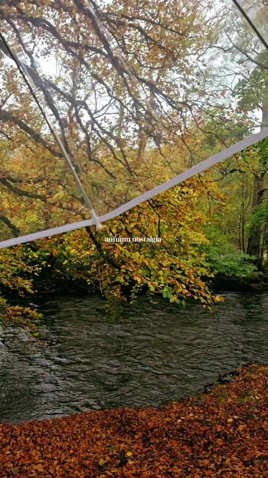 Post 3 by acalmwalk on TikTok (video)