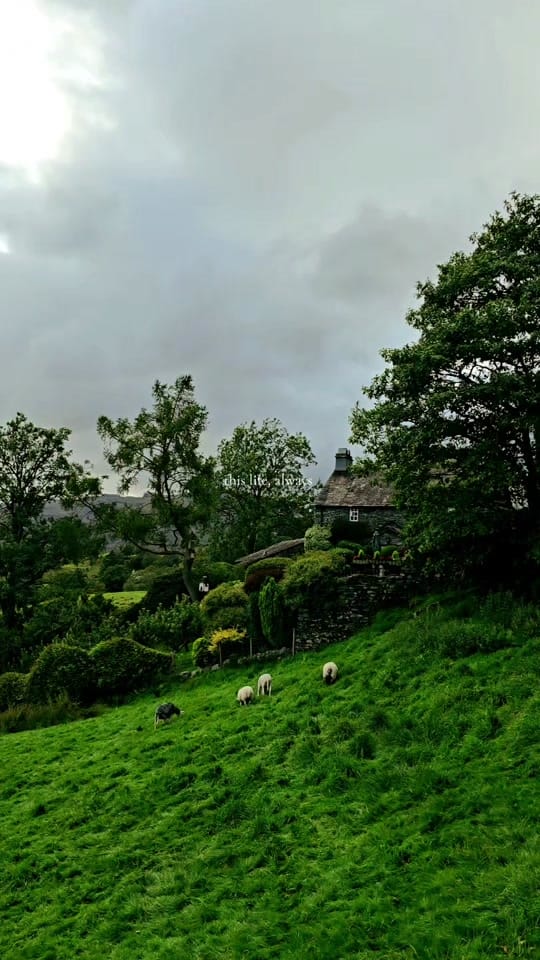 Post 1 by acalmwalk on TikTok (video)