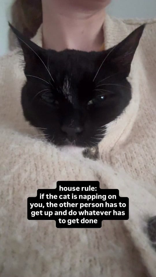 Post 3 by Kayleigh & Harvey on TikTok (video)
