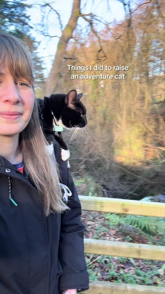 Post 10 by Kayleigh & Harvey on TikTok (video)