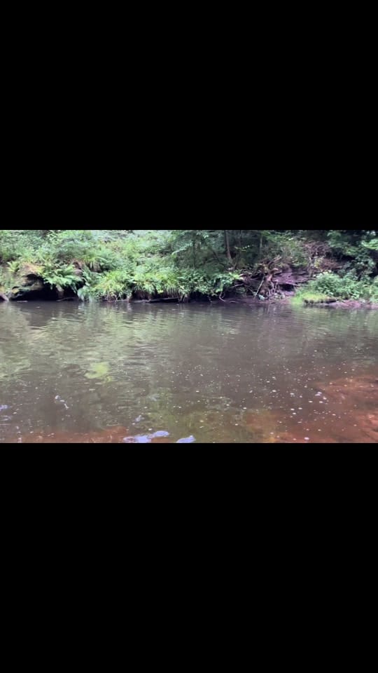 Post 2 by Hippyfishin on TikTok (video)