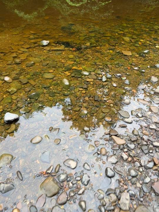 Post 9 by Hippyfishin on TikTok (video)