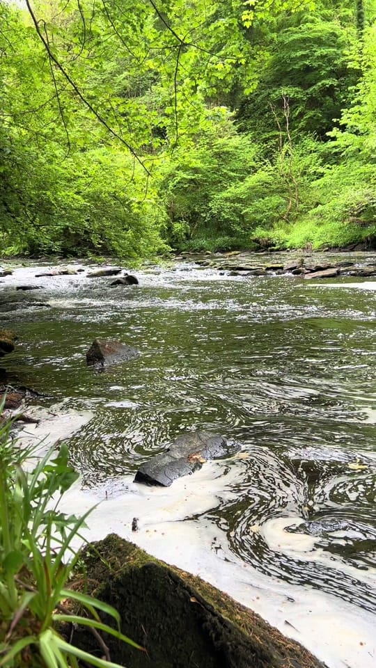Post 7 by Hippyfishin on TikTok (video)
